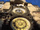 Astronomical Clock & Old Town Hall Tower - Mini Photo 2